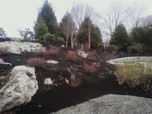 Rocky landscaped garden with dark mulch, shrubs, bare trees, and a gravel path