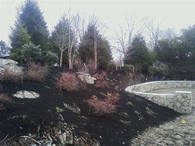 Stone retaining wall beside a landscaped slope with shrubs and tall trees under an overcast sky