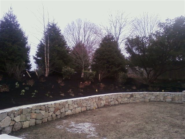 Curved stone retaining wall bordering a bare yard with evergreen trees and shrubs in the background