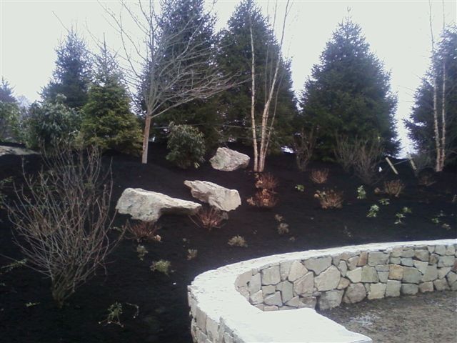 Stone-lined garden bed with dark mulch, evergreen shrubs, leafless trees, and large white rocks.