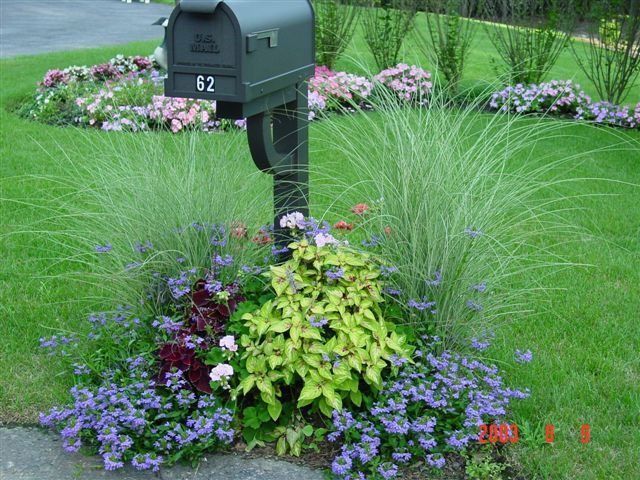 Mailbox 62 beside a lush flower bed with purple blooms and green ornamental grass in a garden