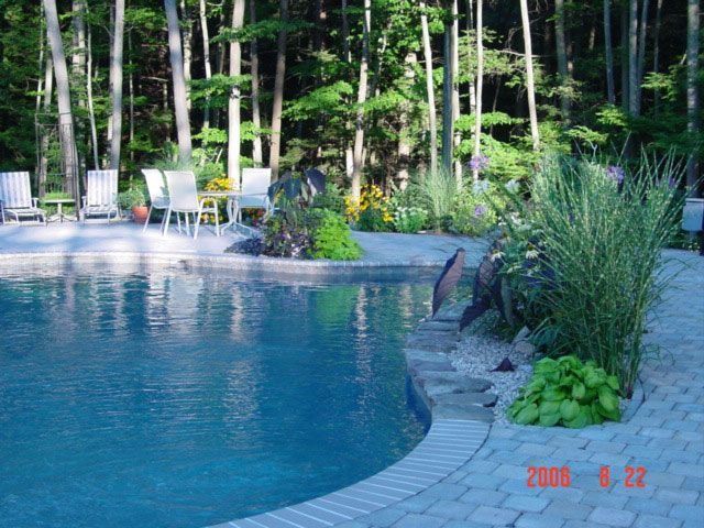 Backyard pool with curved stone edge, lounge chairs, and tall trees surrounding it