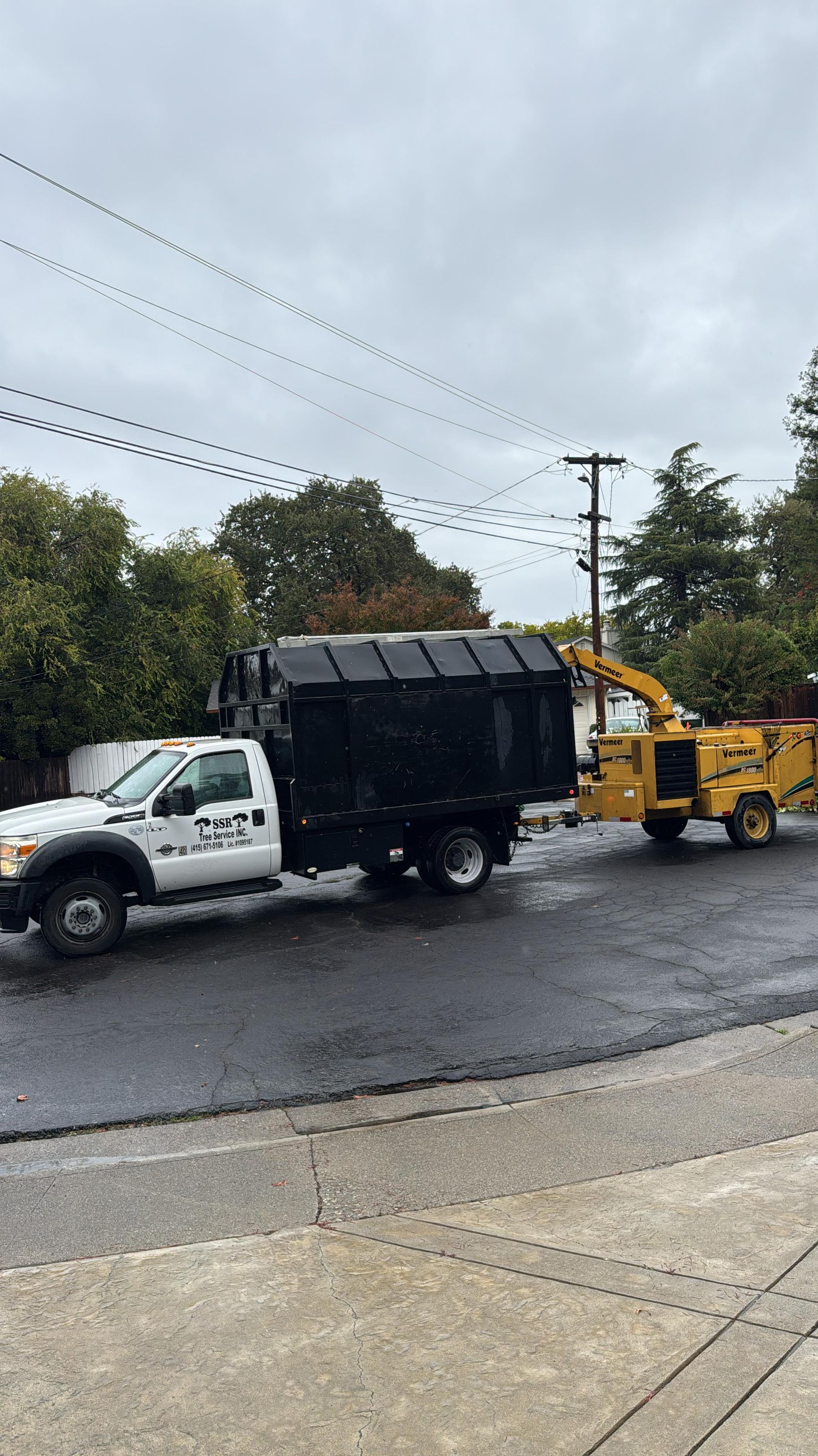 Costa County Tree Service