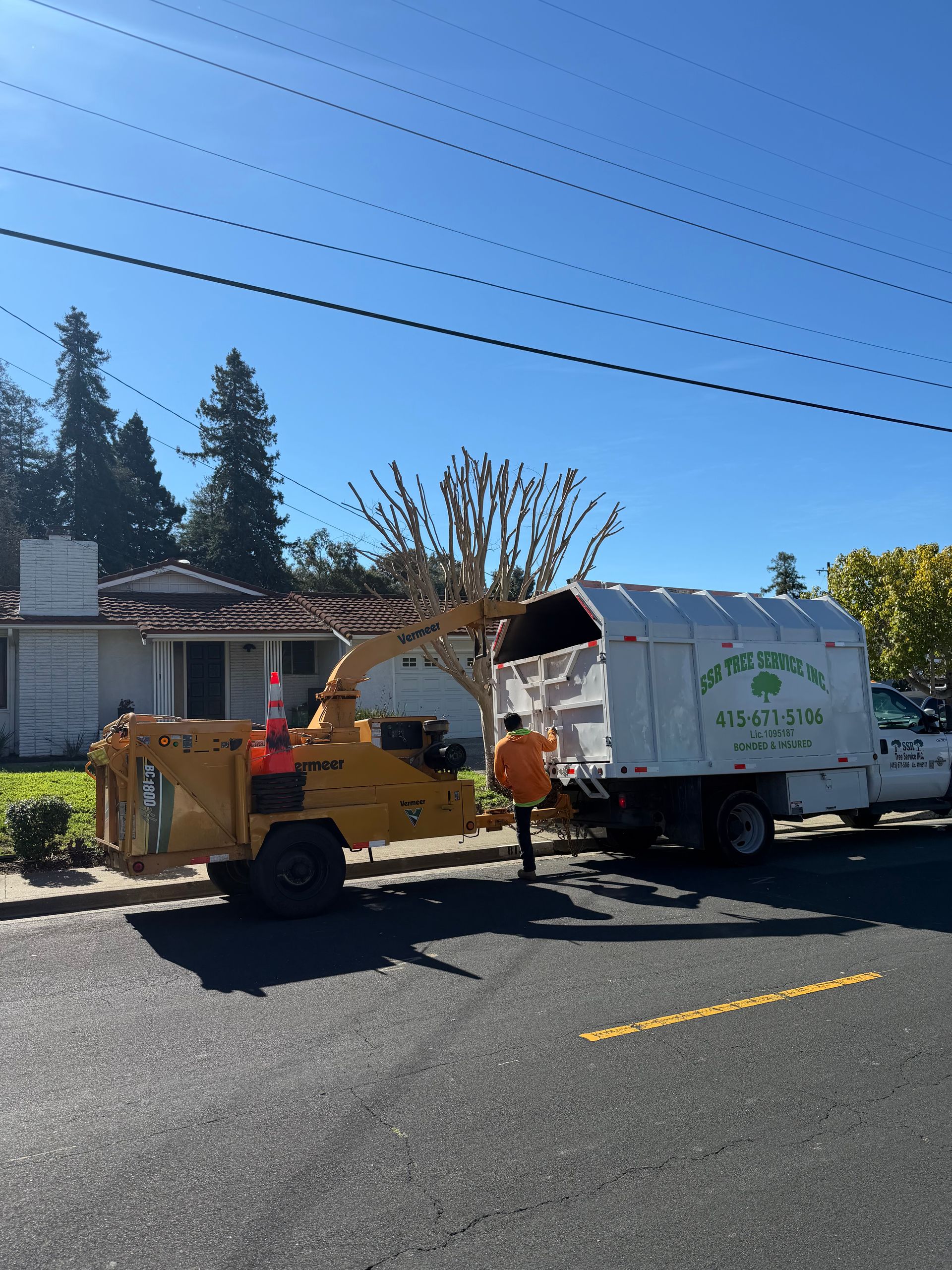 Best 24/7 Tree Removal Service In Bay Point California