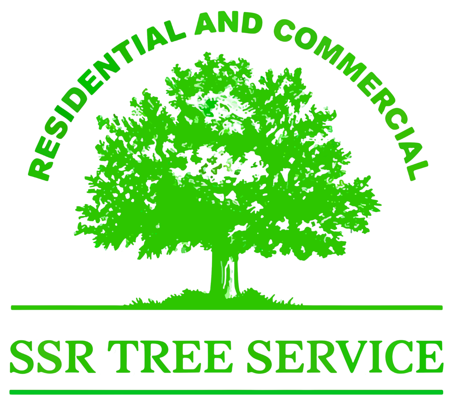 SSR Tree Service Bay Point