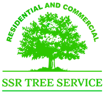SSR Tree Service - East Bay Area's Bay Point California Tree Service