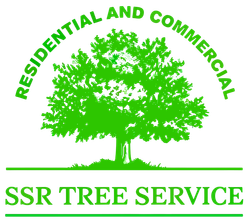 SSR Tree Service Bay Point