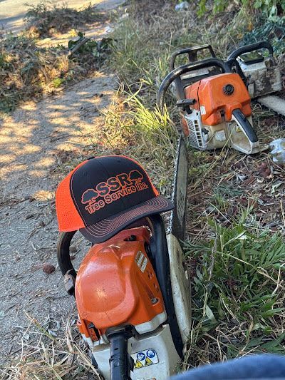 Best Emergency Tree Removal Company In Walnut Creek