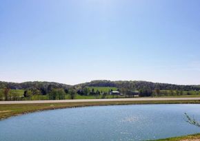Calm pond under a clear blue sky with grassy banks and trees in the distance