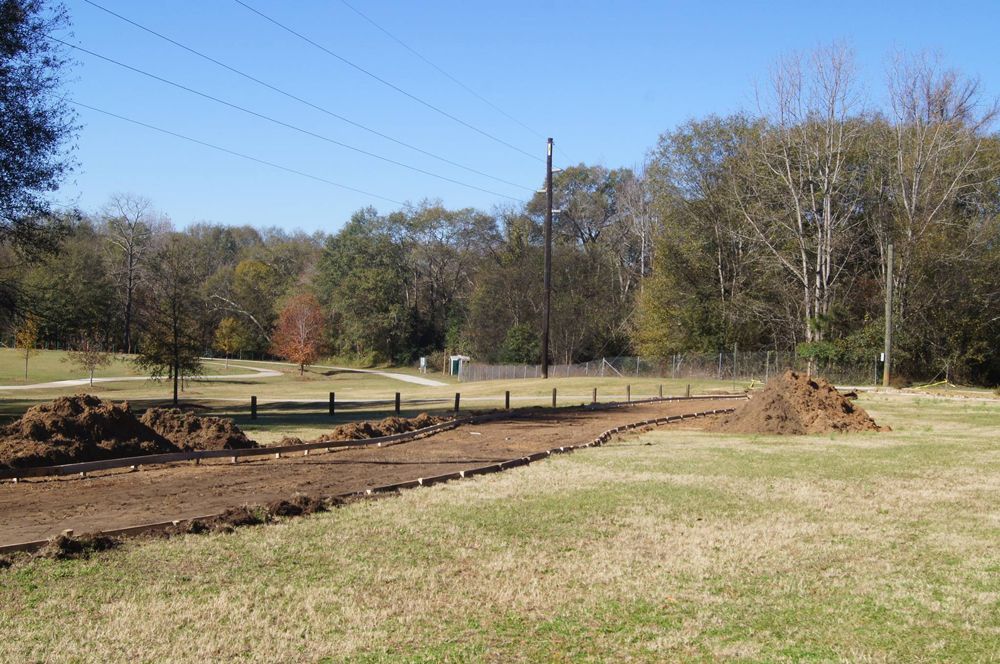A dirt road is going through a grassy field with trees in the background.
