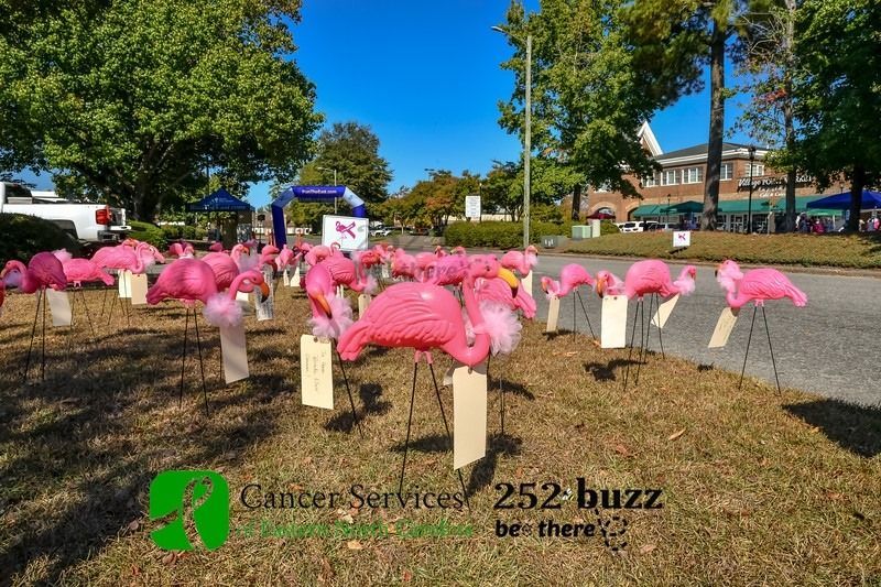 Sponsor a Pink Flamingo