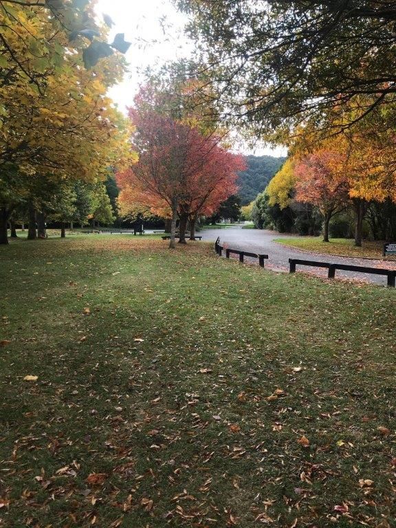 Park scene with colorful fall trees, path, and grassy area.