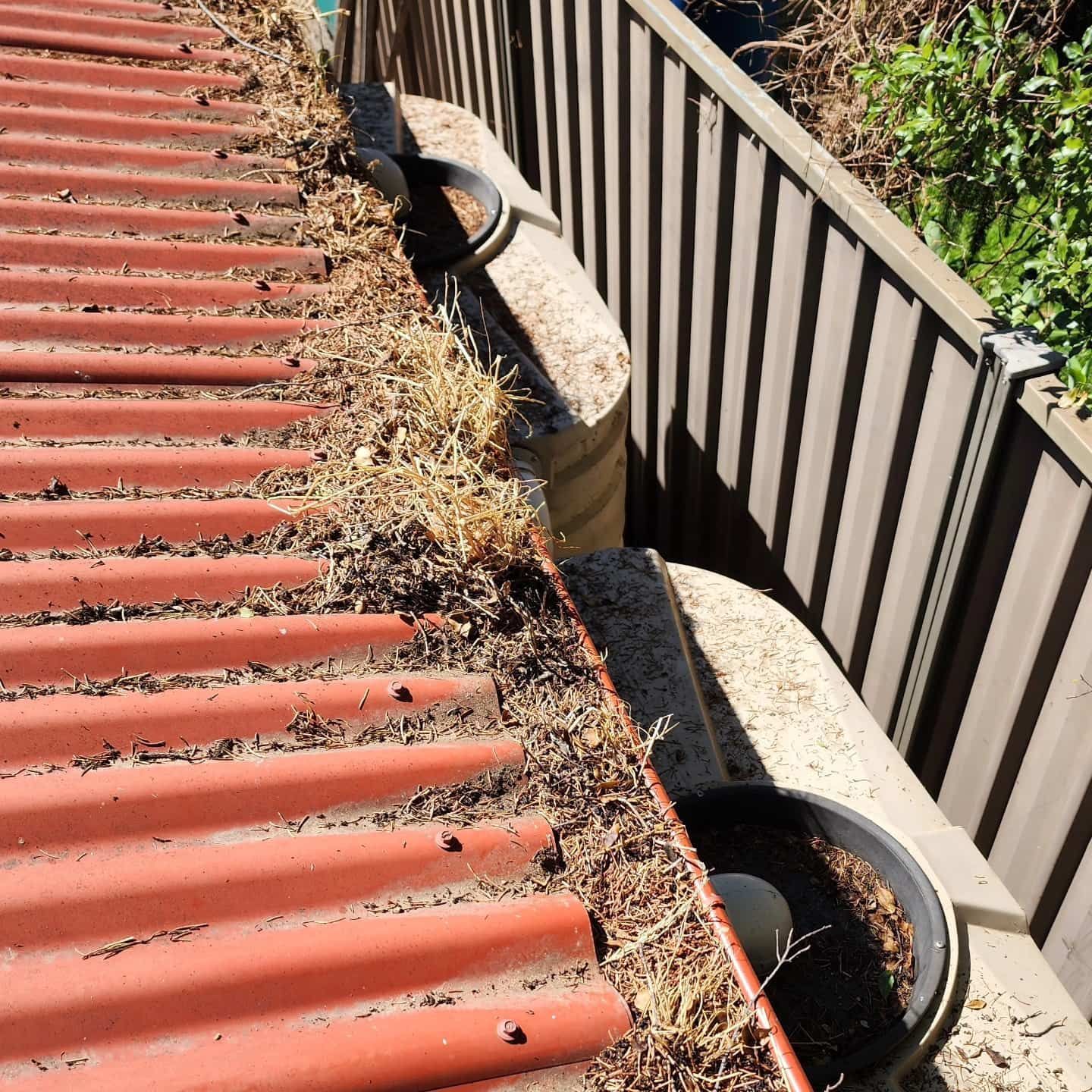 Red Corrugated Roof With Gutter Filled With Debris — Rapid Rinse Solutions in Tatura, VIC
