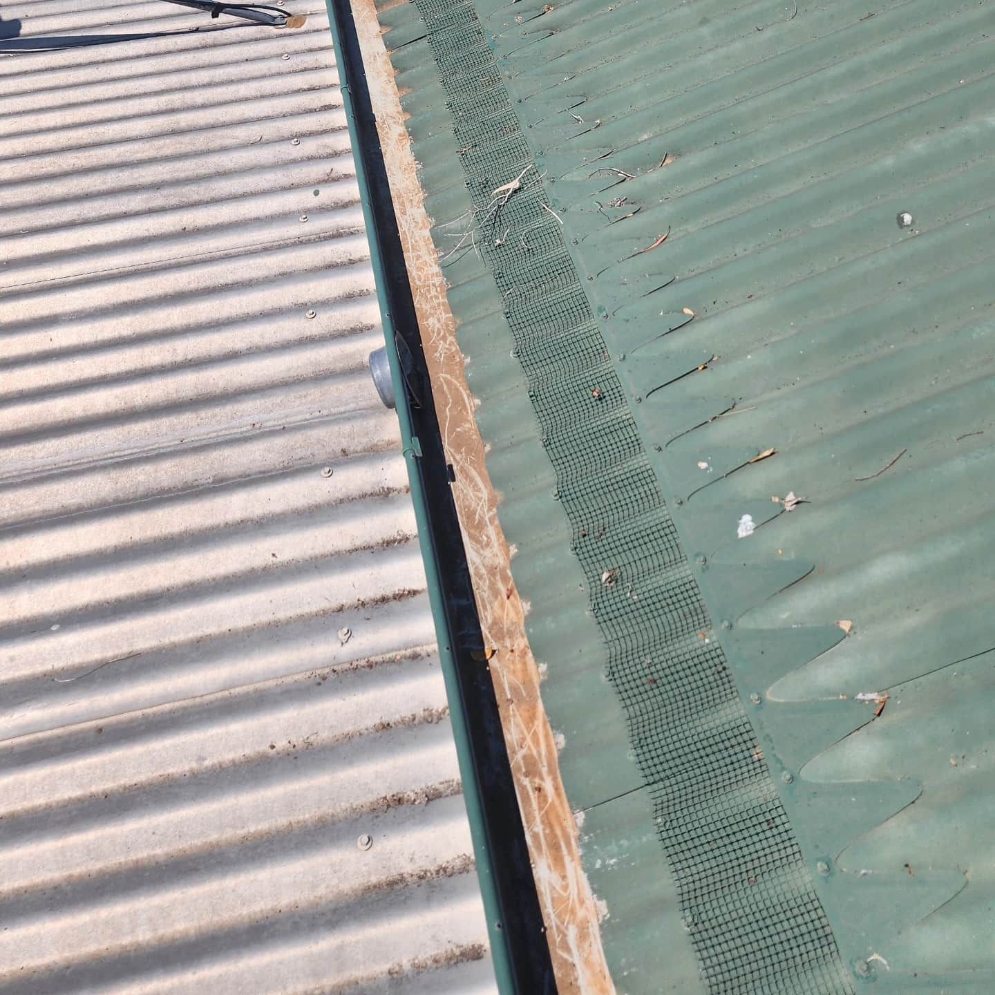 Green Corrugated Metal Roof With a Gutter Covered by Mesh — Rapid Rinse Solutions in Cobram, VIC