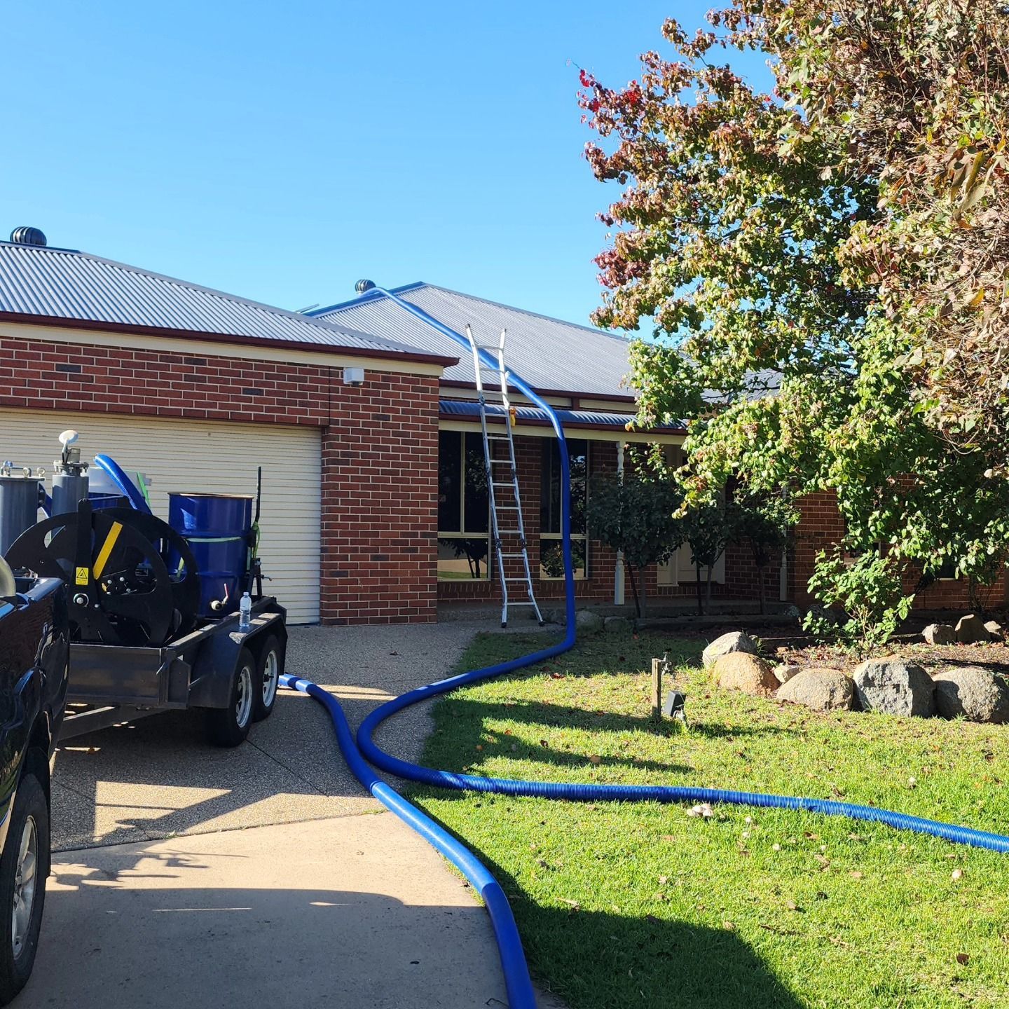 Solar panels on a corrugated metal roof beside a green lawn and trees under a blue skybroken image — Rapid Rinse Solutions in Cobram, VIC