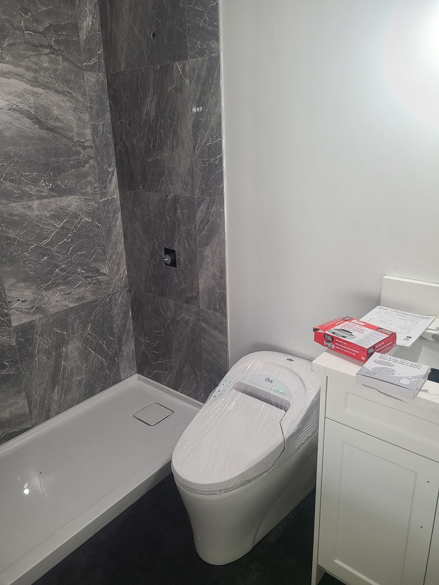 Bathroom with a gray tiled shower, white toilet, and white vanity.