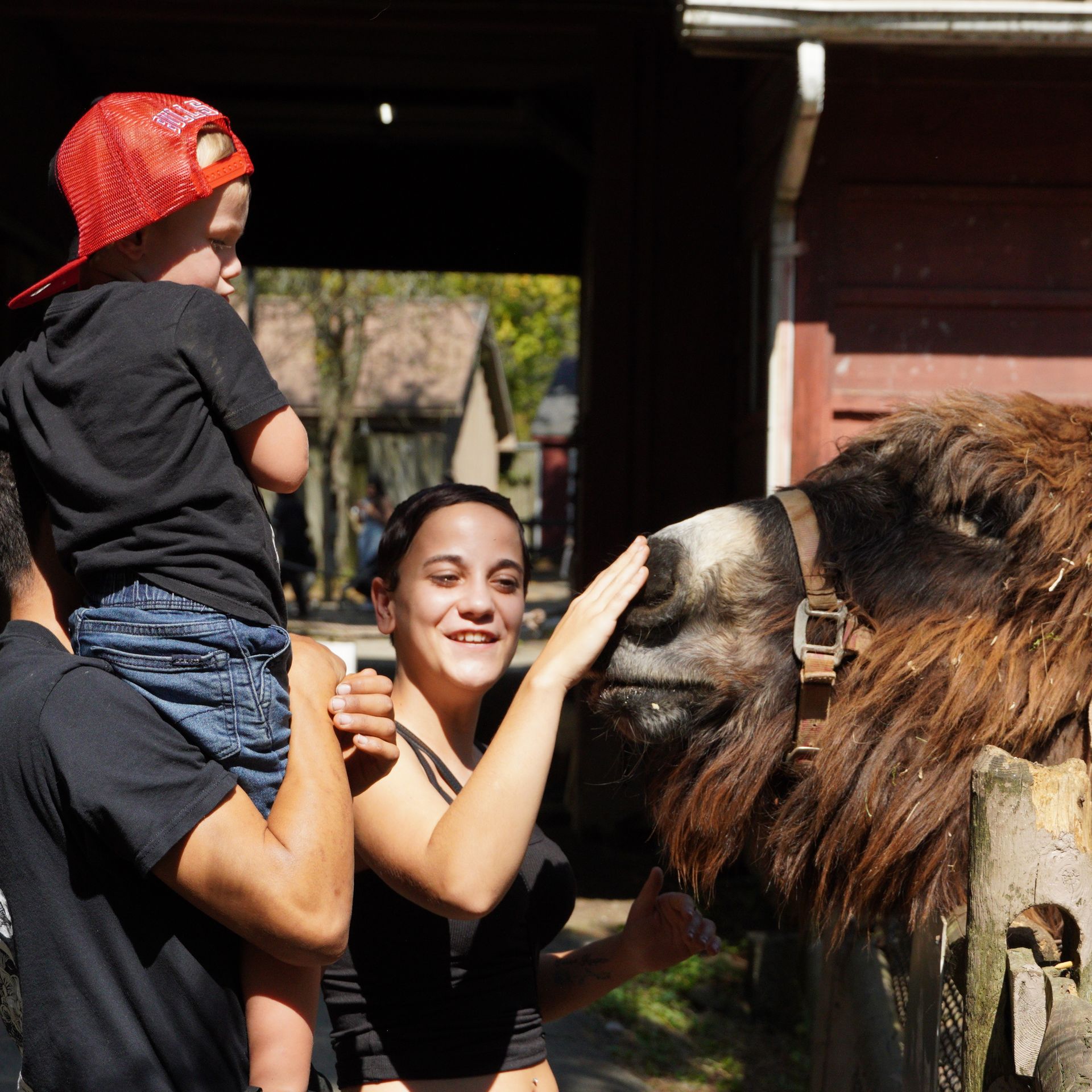 Learn At The Zoo In Forest Park