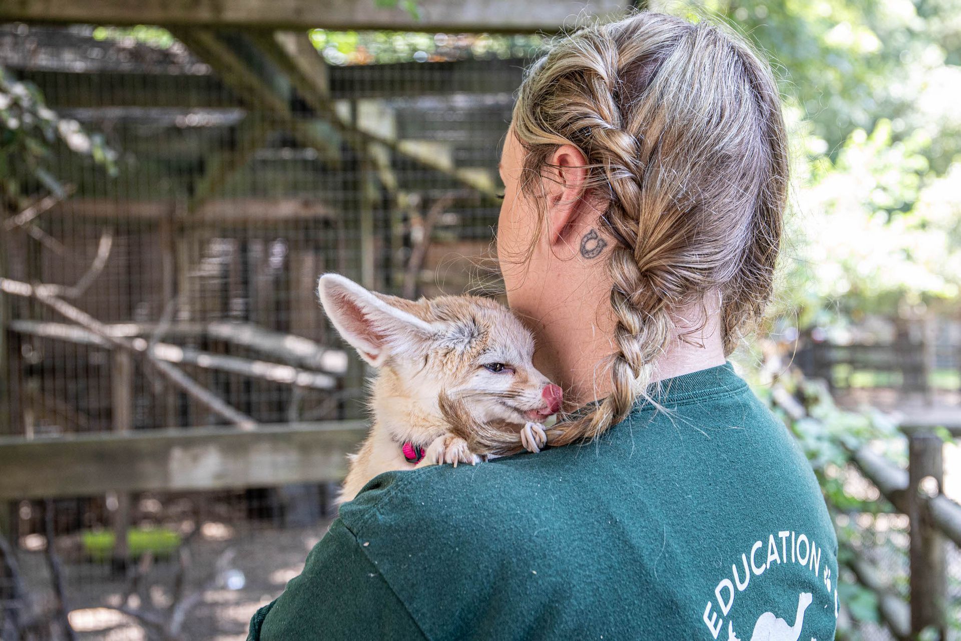 A women with braids stands facing away from the camera. She is holding a small fennec fox which peaks out over her shoulder. 