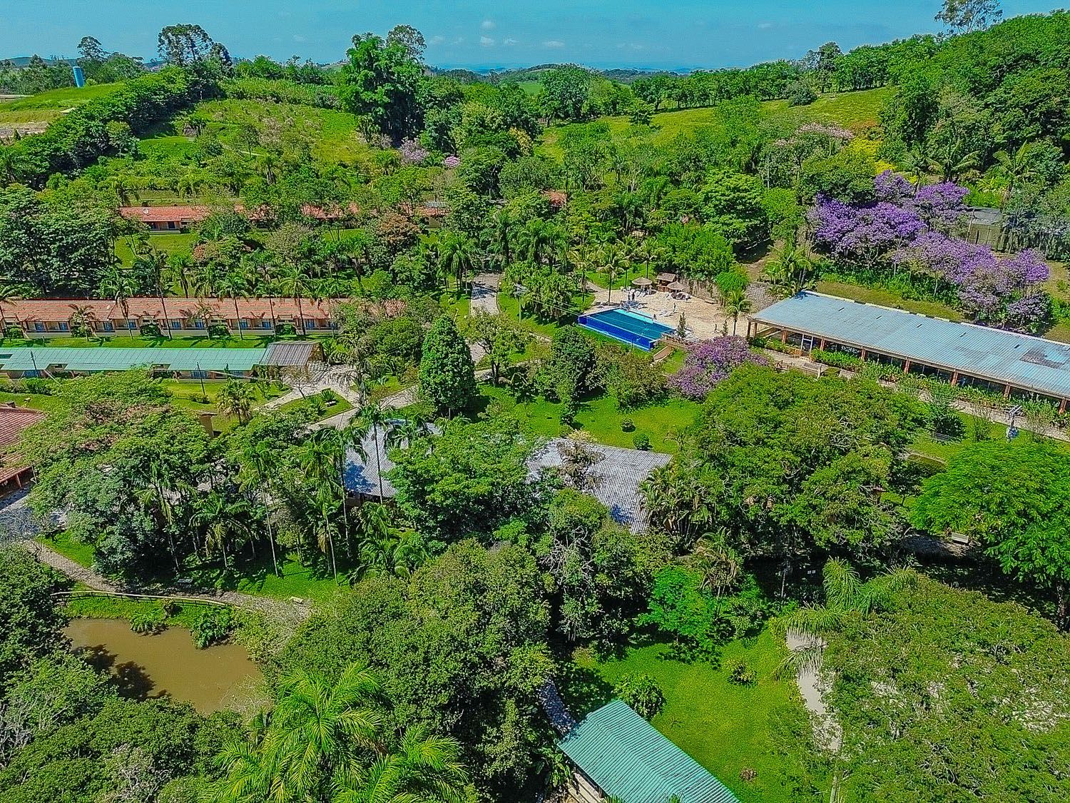Uma vista aérea de uma floresta verdejante com uma piscina no meio.