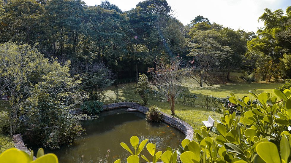 Há um lago no meio de uma floresta cercada por árvores.