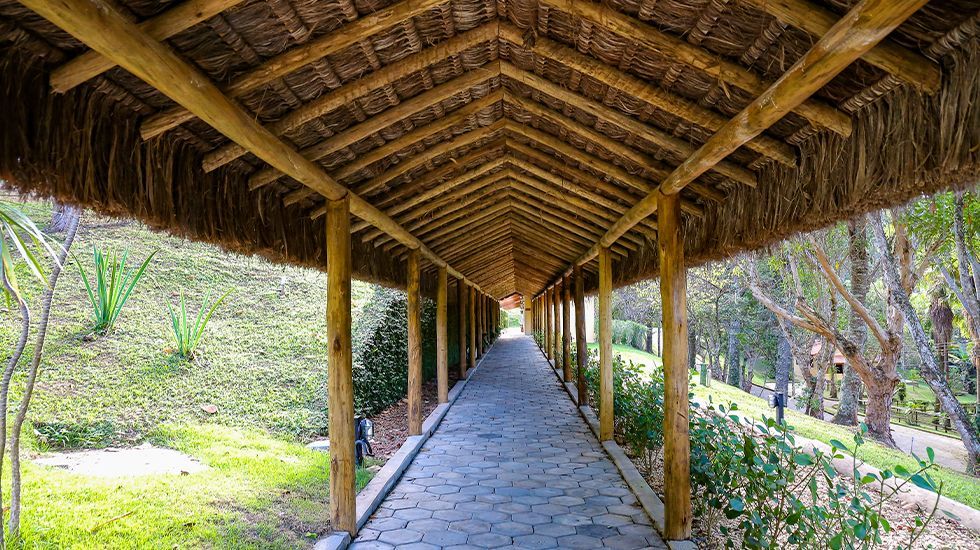 Uma longa passarela de madeira com telhado de palha em um parque.