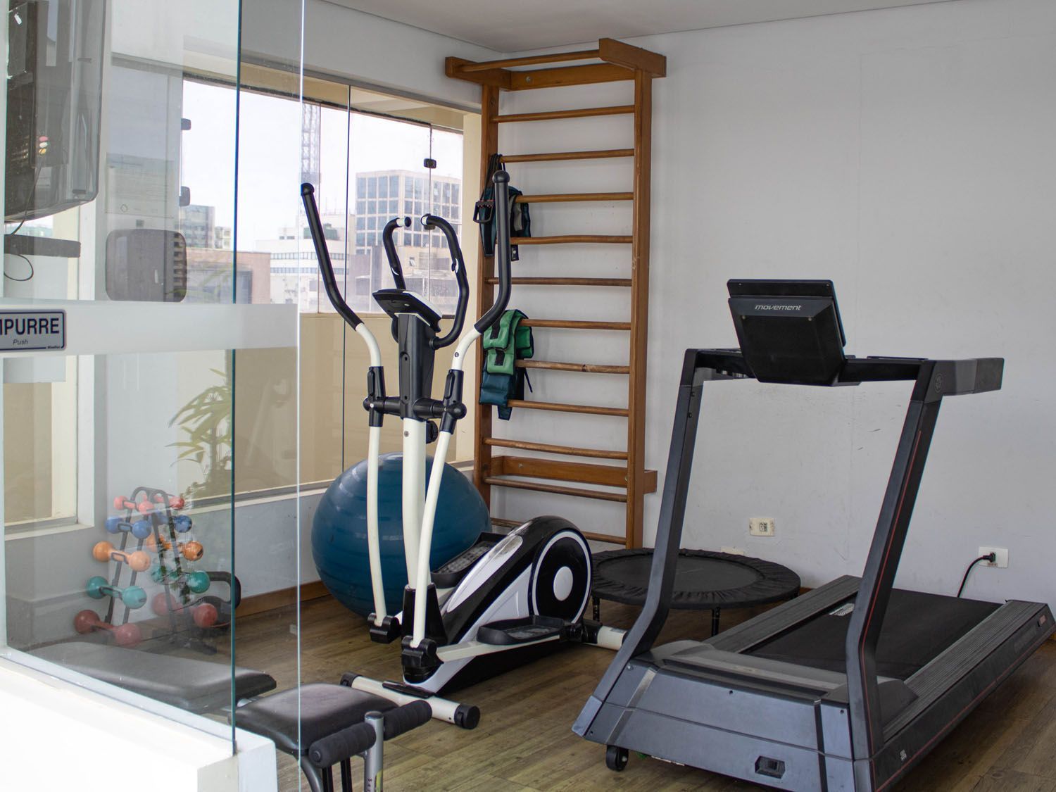 Uma academia com esteira, elíptico e bola de exercícios.
