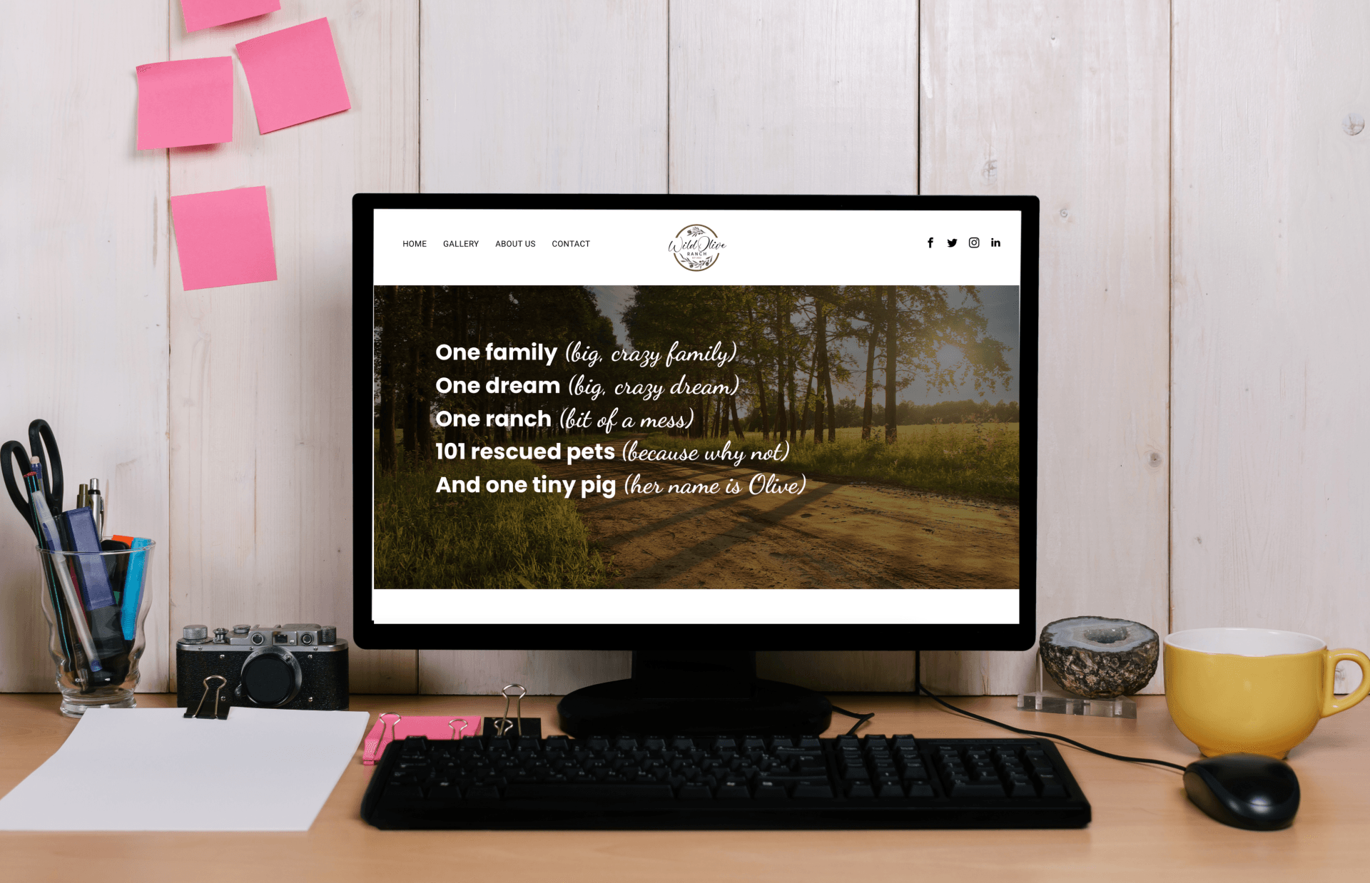 Computer with Wild Olive Ranch website showing