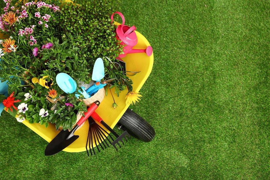 attrezzi da giardino