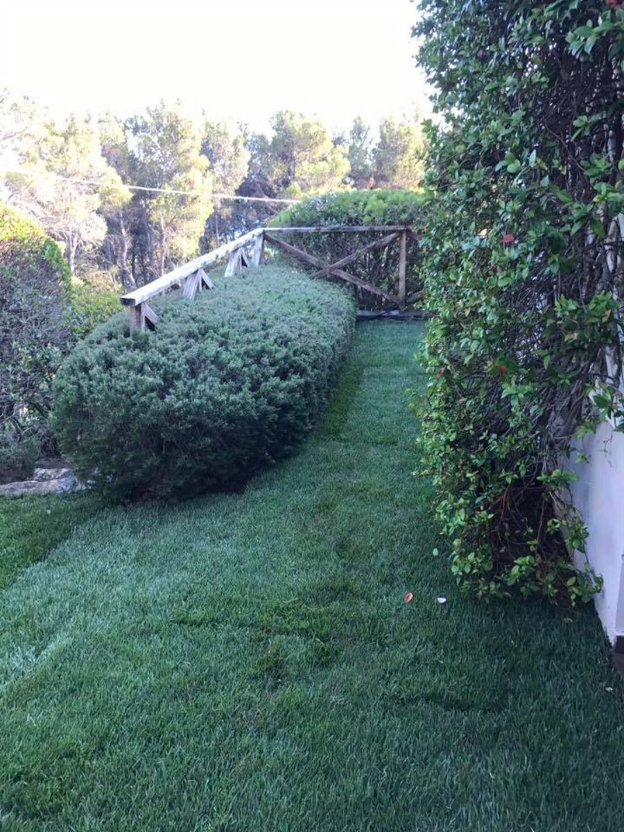 manutenzione giardini
