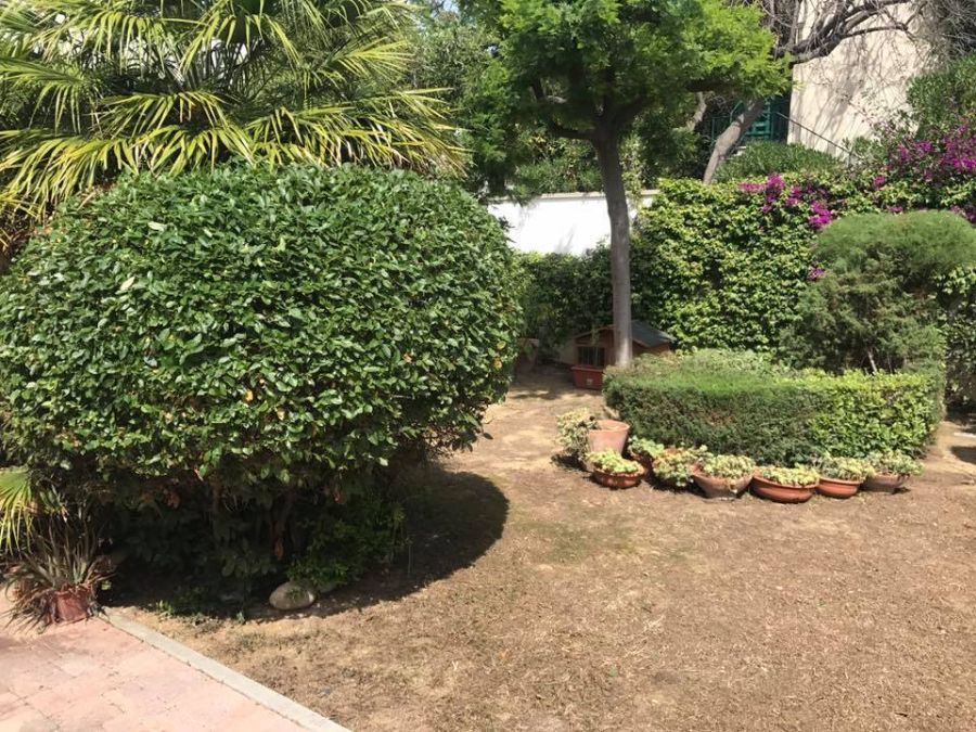 giardino