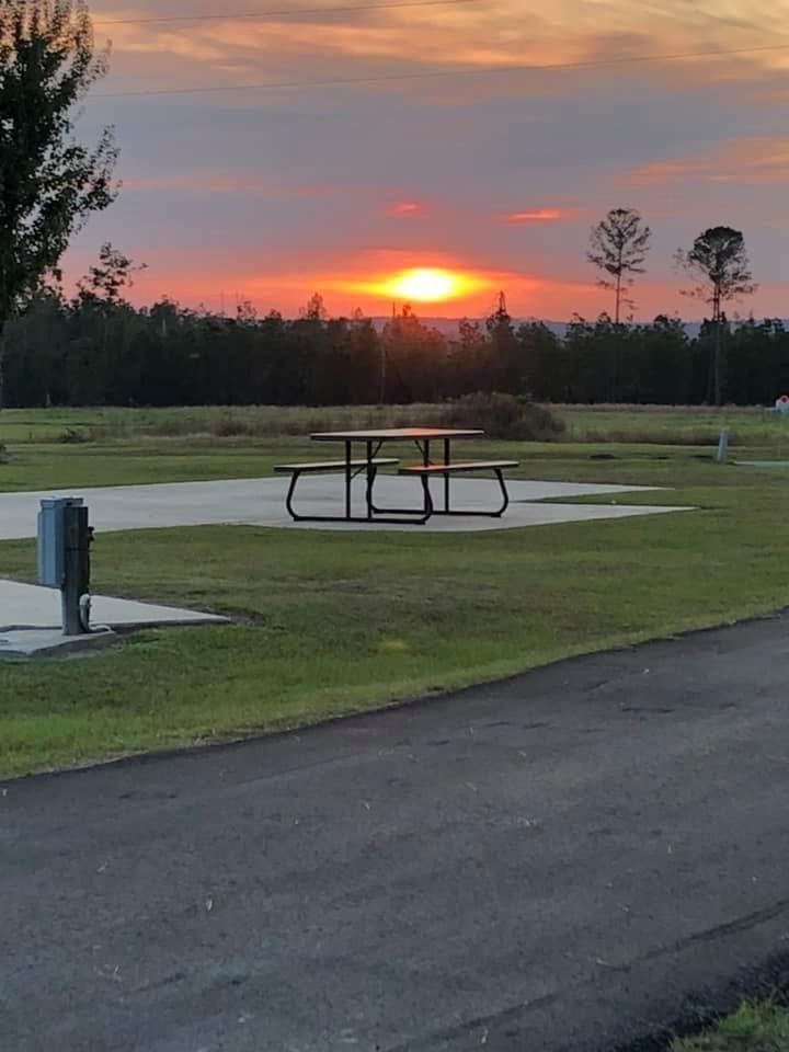 Sunset over a picnic table in a park. Orange sun, dark trees, green grass.