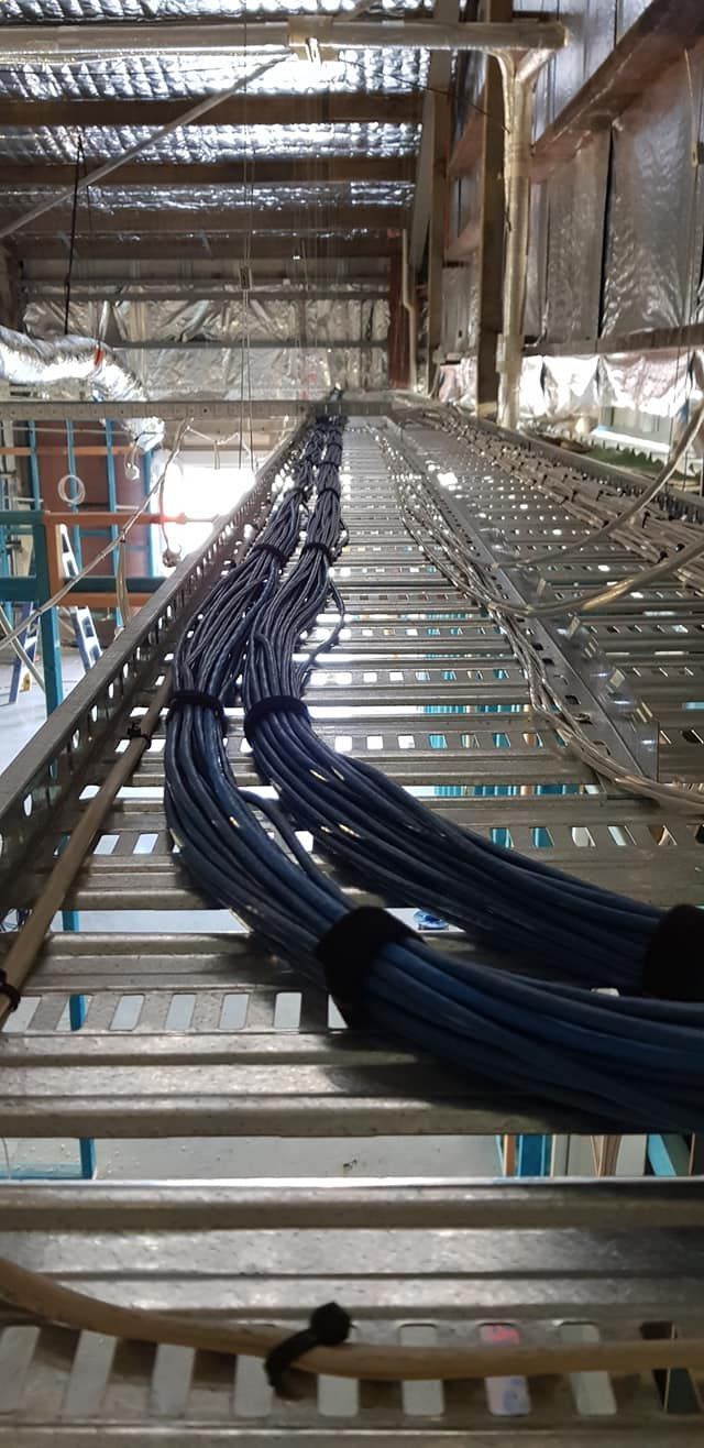 A Bunch Of Blue Wires Are Hanging From The Ceiling Of A Building — Cairns Excel Electrics In Bungalow, QLD