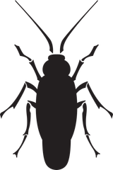 A black and white silhouette of a cockroach on a white background.