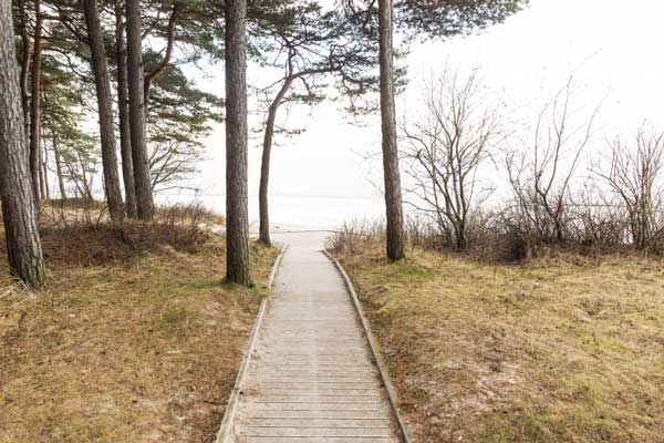 Ein Holzweg führt durch einen Wald zum Strand.