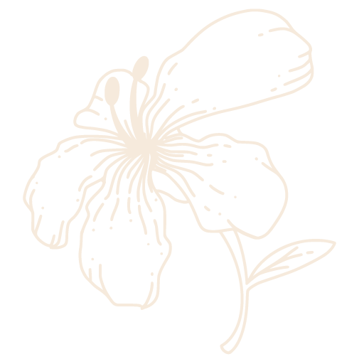 Eine Zeichnung einer Blume mit Blättern auf weißem Hintergrund.