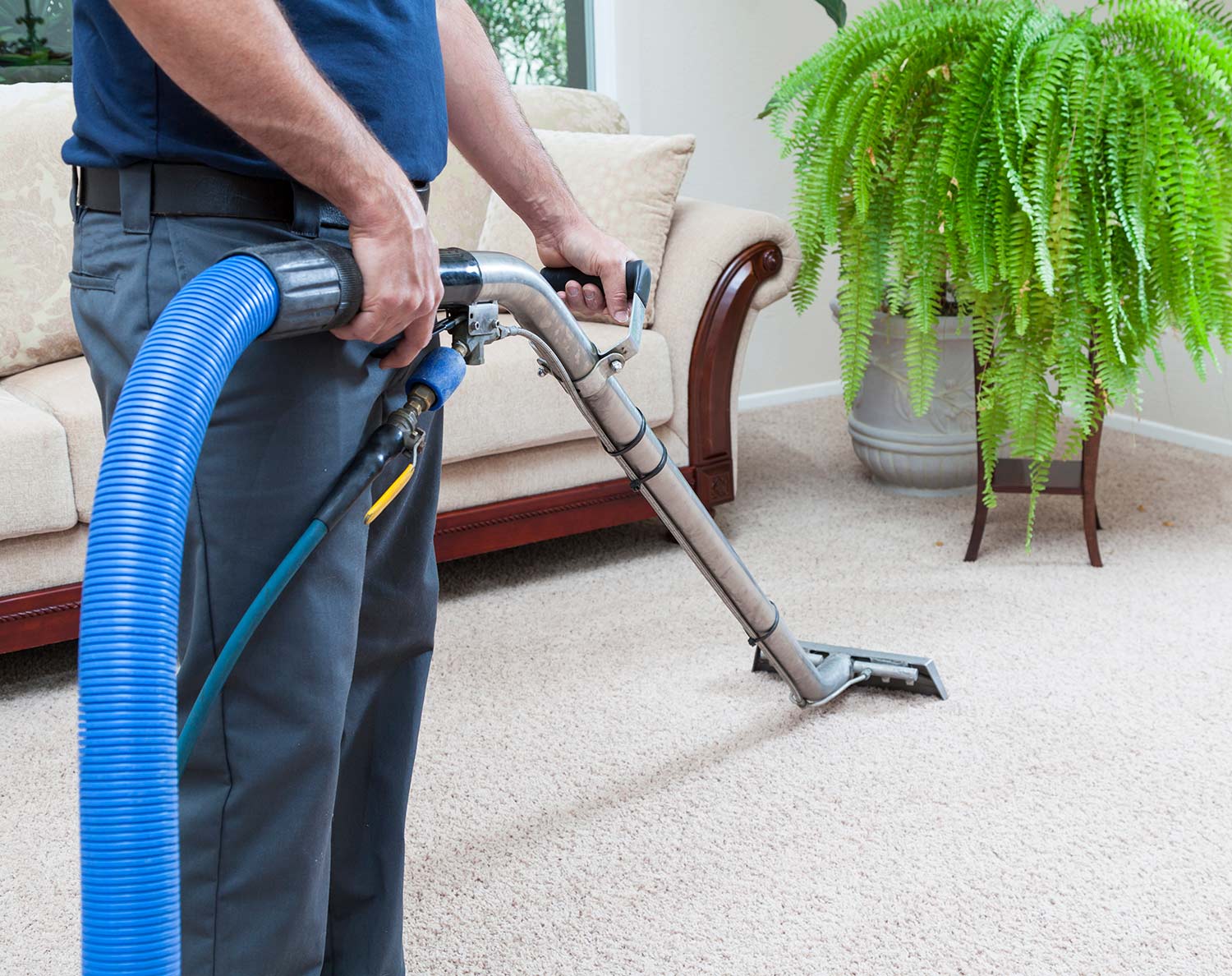 Residential Carpet Cleaning — Little Chute, WI — BowTie Carpet Cleaning LLC