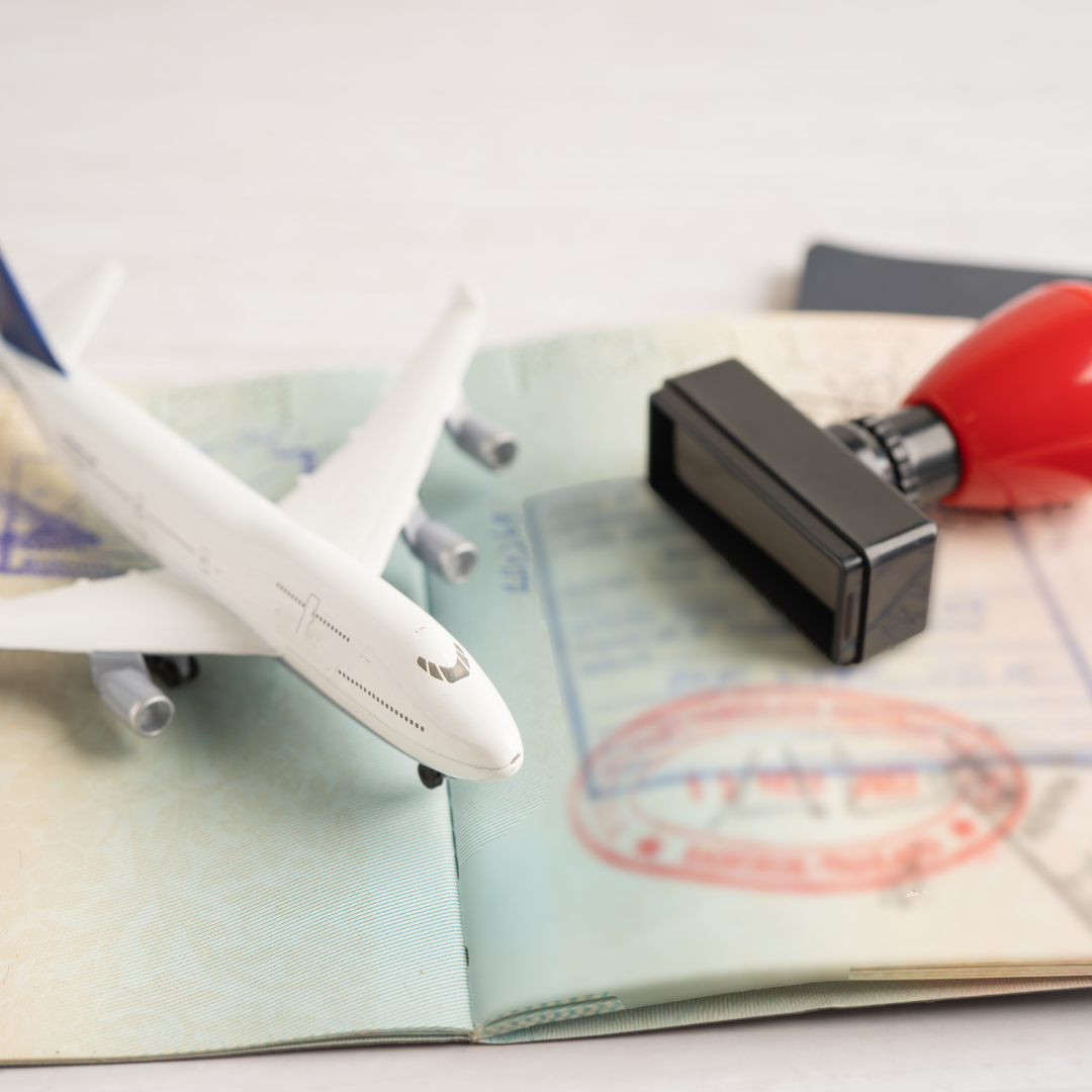 Immigration Lawyers