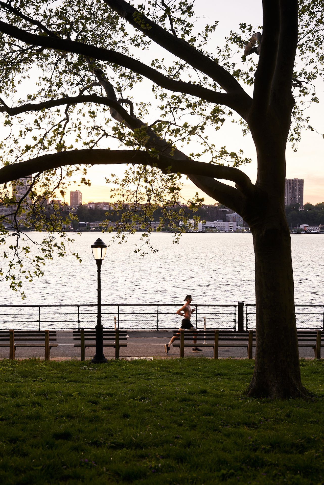A person is running in a park near a body of water