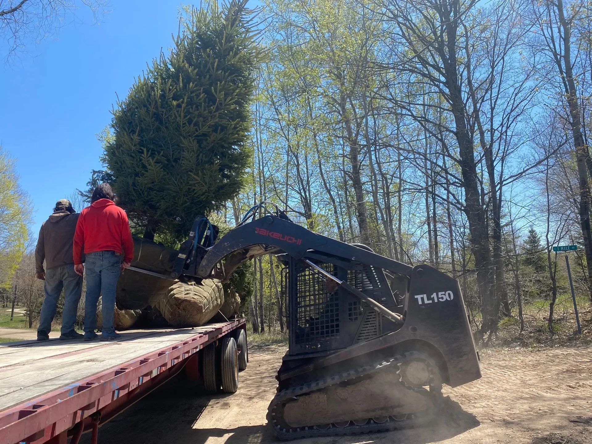 tree Services 17