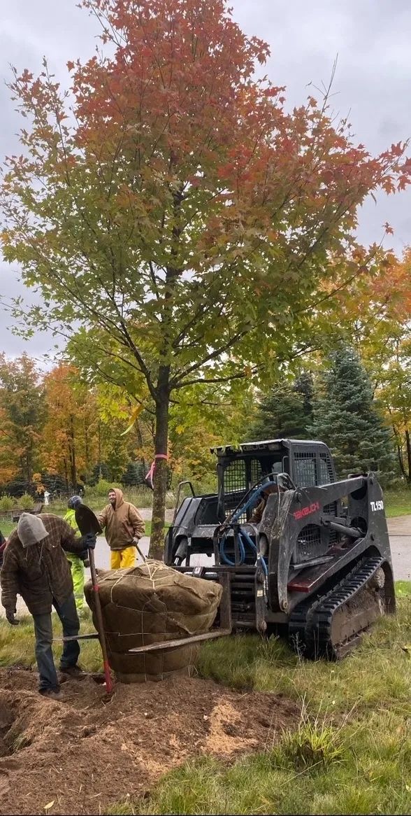 tree Services 19
