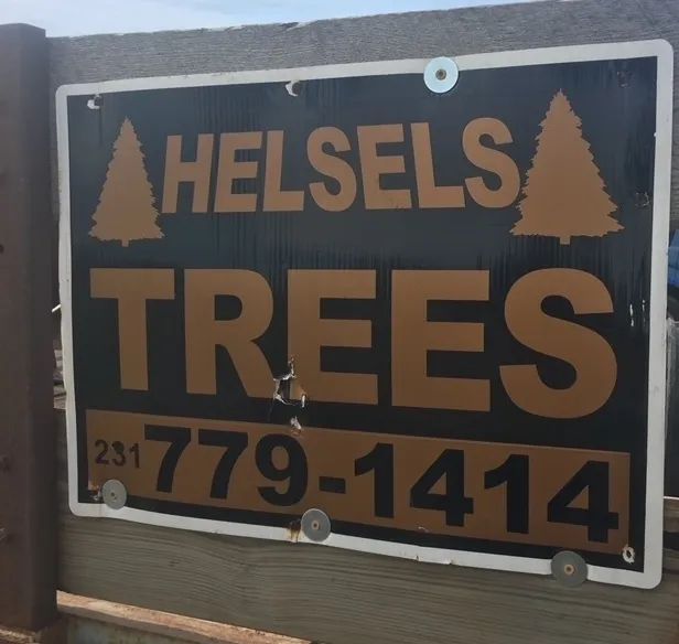 tree Services 20