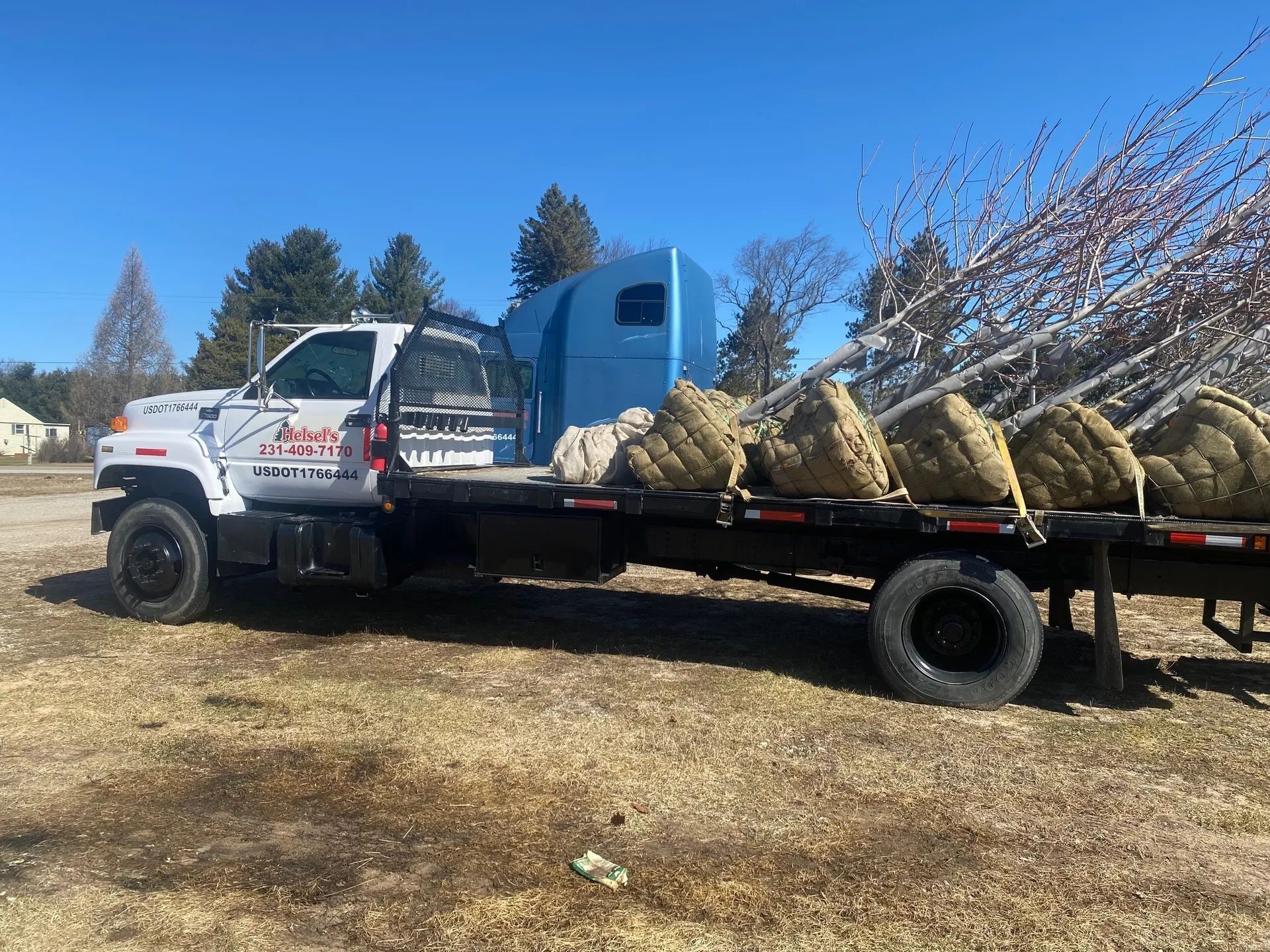tree Services 23