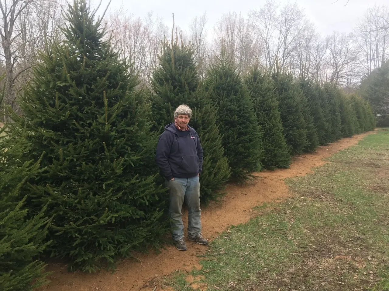 tree Services 25