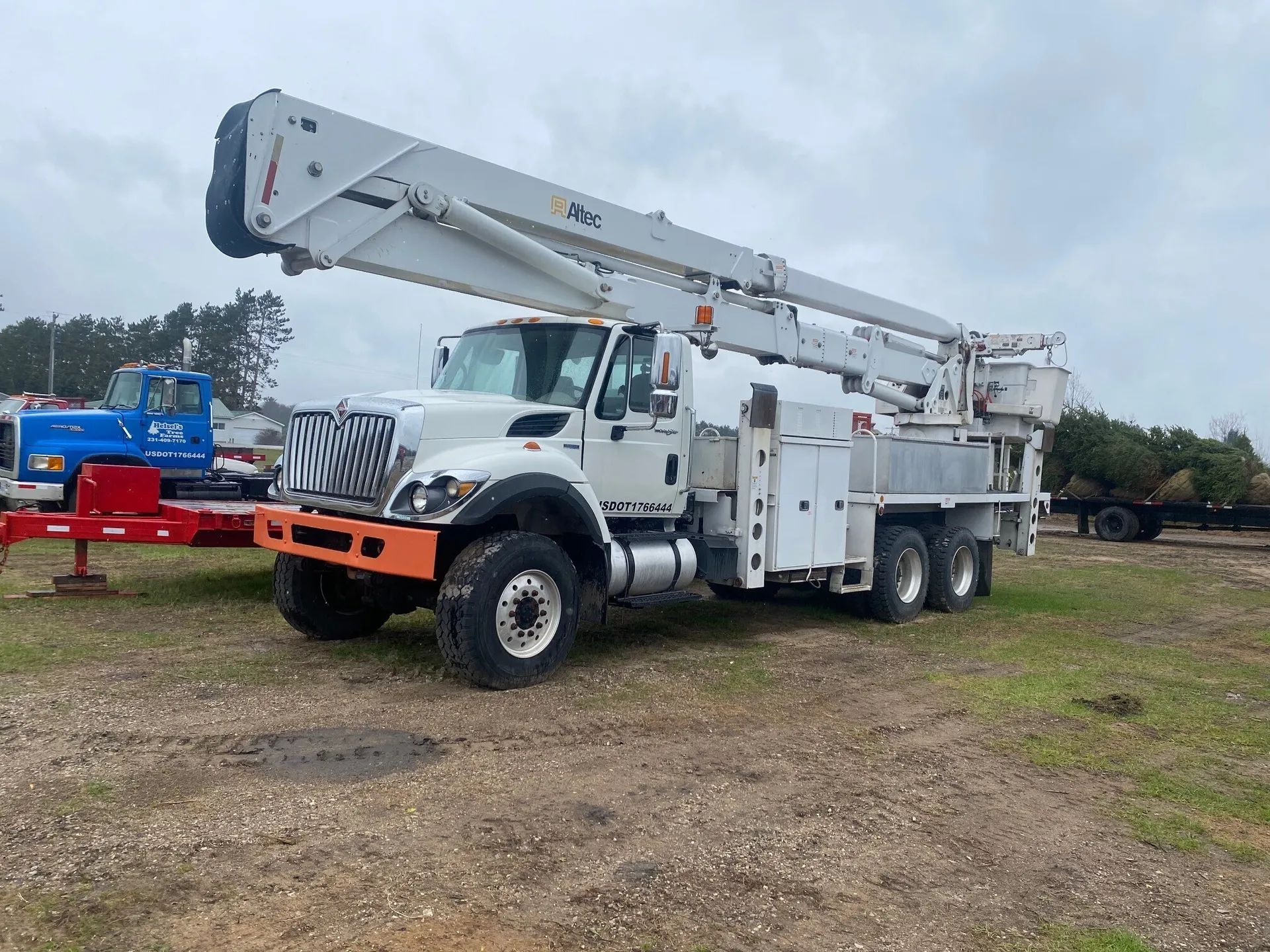 tree Services 34