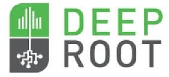 The logo for deep root is green and gray