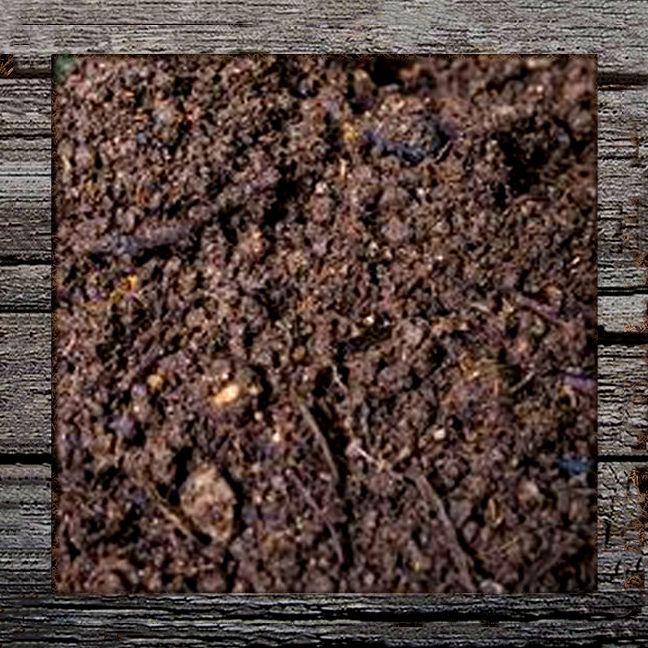 Topsoil