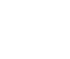 Image majoritairement blanche avec une fine bordure noire sur les côtés droit et inférieur.