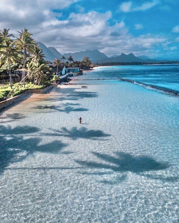 A beach with palm trees and mountains in the background