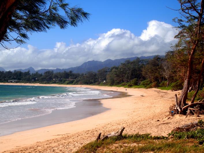 A beach with mountains in the background and trees in the foreground