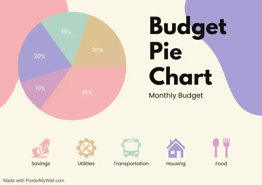 A pie chart showing the monthly budget of a person.